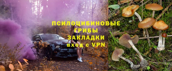 бошки Алзамай