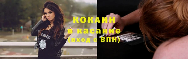 прущие грибы Алексин