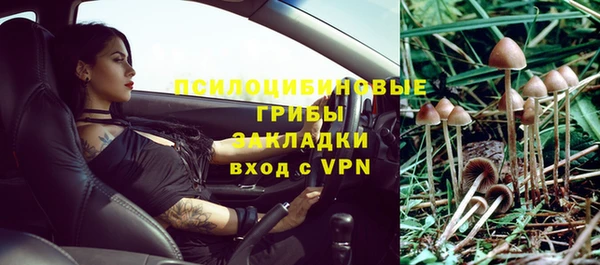 бошки Алзамай