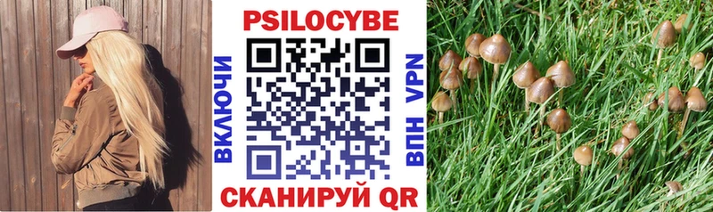 купить закладку  Наволоки  МЕГА вход  Галлюциногенные грибы Psilocybe 